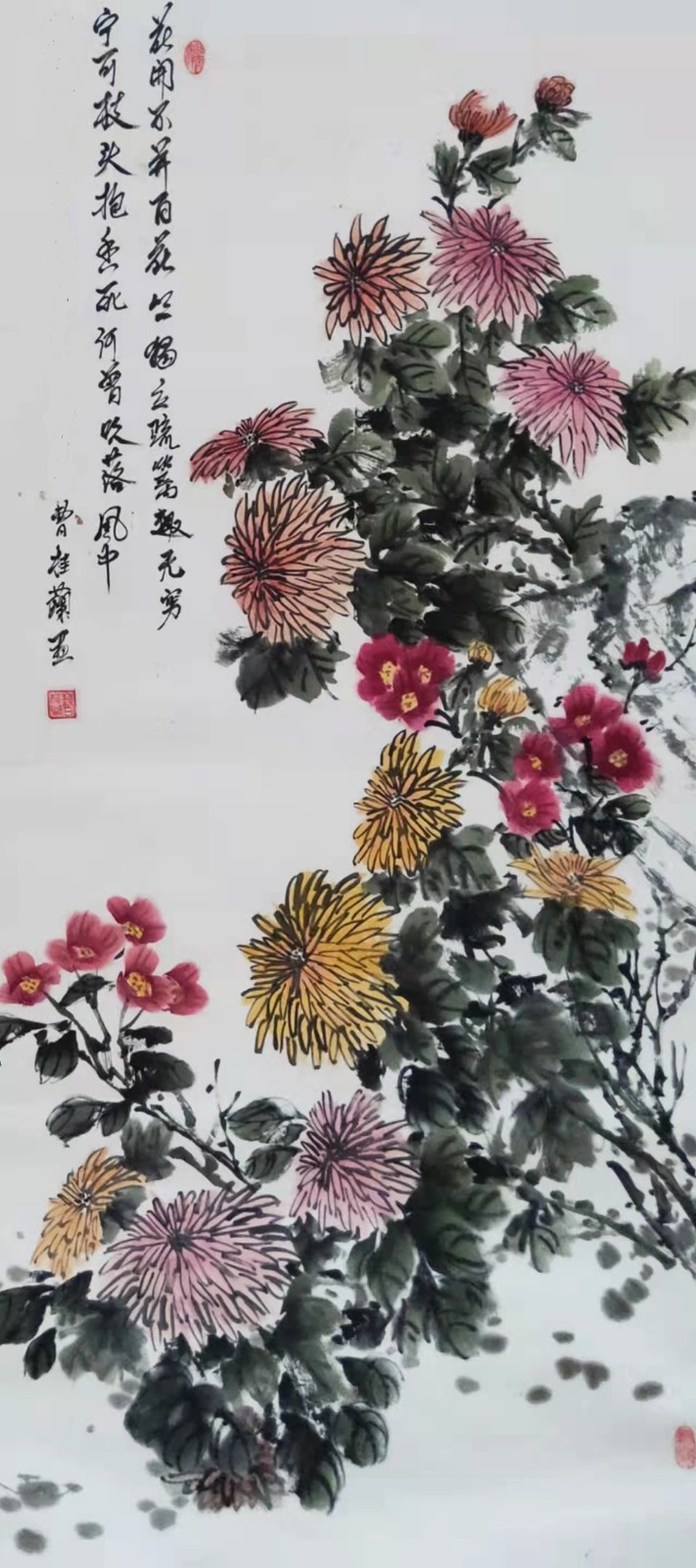 33菊-曹桂兰.jpg